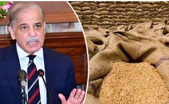 حکومت نے گندم پالیسی 2025-26 کی منظوری دے دی — کسانوں کے لیے خوشخبری!