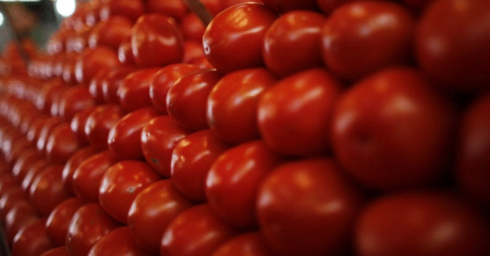 شہریوں کے لیے خوشخبری: ٹماٹر کی قیمت میں نمایاں کمی، 700 سے 180 روپے فی کلو تک